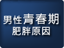男性青春期肥胖原因